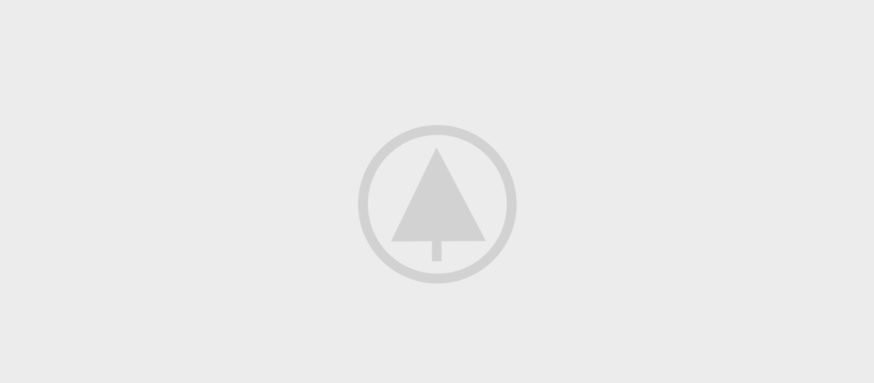 wood-gallery-placeholder-5 wood-gallery-placeholder-5